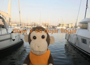A1fa6c56f07be4709a31e2579bf5d6913u.jpg